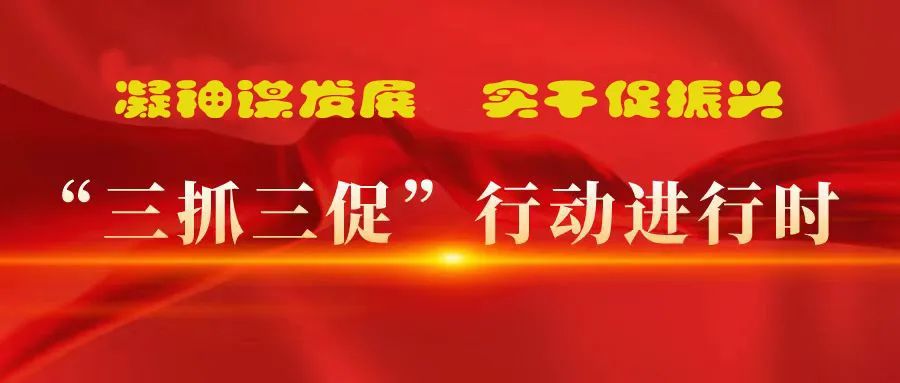 “三抓三促”進行時 | 多措并舉強本領 精準落實謀發(fā)展 —— 張掖市敦煌種業(yè)有限公司落實“三抓三促行動”紀實