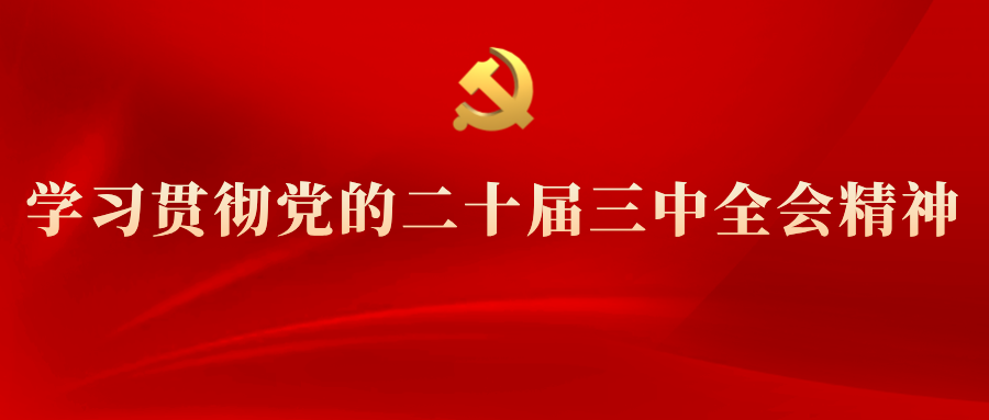 學(xué)習(xí)專欄 | 黨的二十屆三中全會(huì)精神解讀(十三)