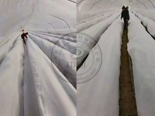 ��ݮ���ﱣ��